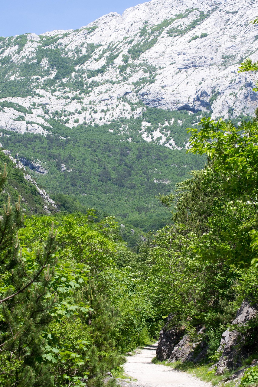 Kroatija, Nacionalinis Parkas, Gamta, Pasaulio Gamtos Paveldas, Nemokamos Nuotraukos,  Nemokama Licenzija