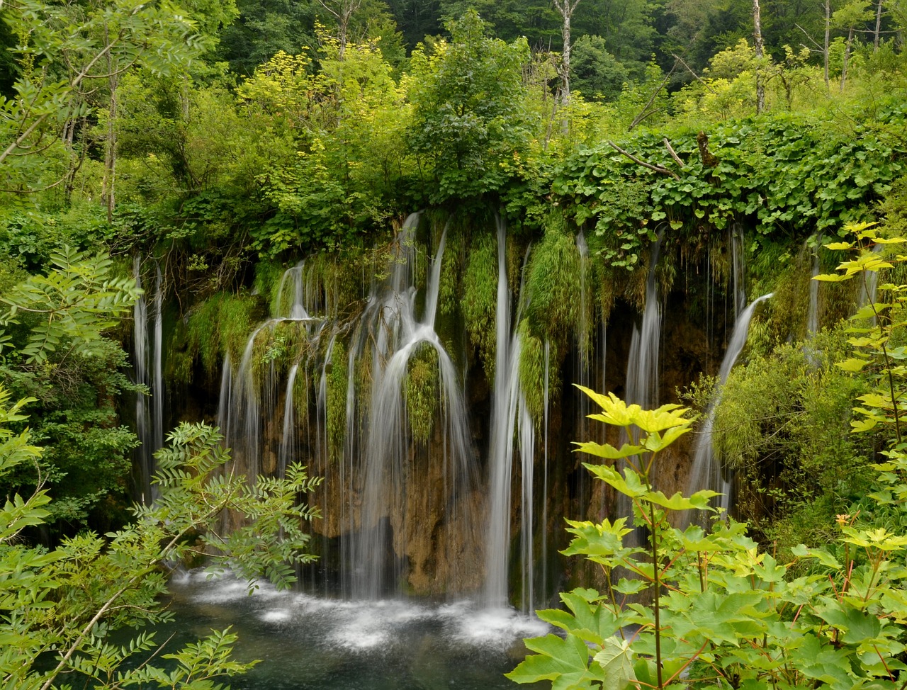 Kroatija, Plitvice, Ežerai, Krioklys, Atogrąžų, Sodrus, Nemokamos Nuotraukos,  Nemokama Licenzija