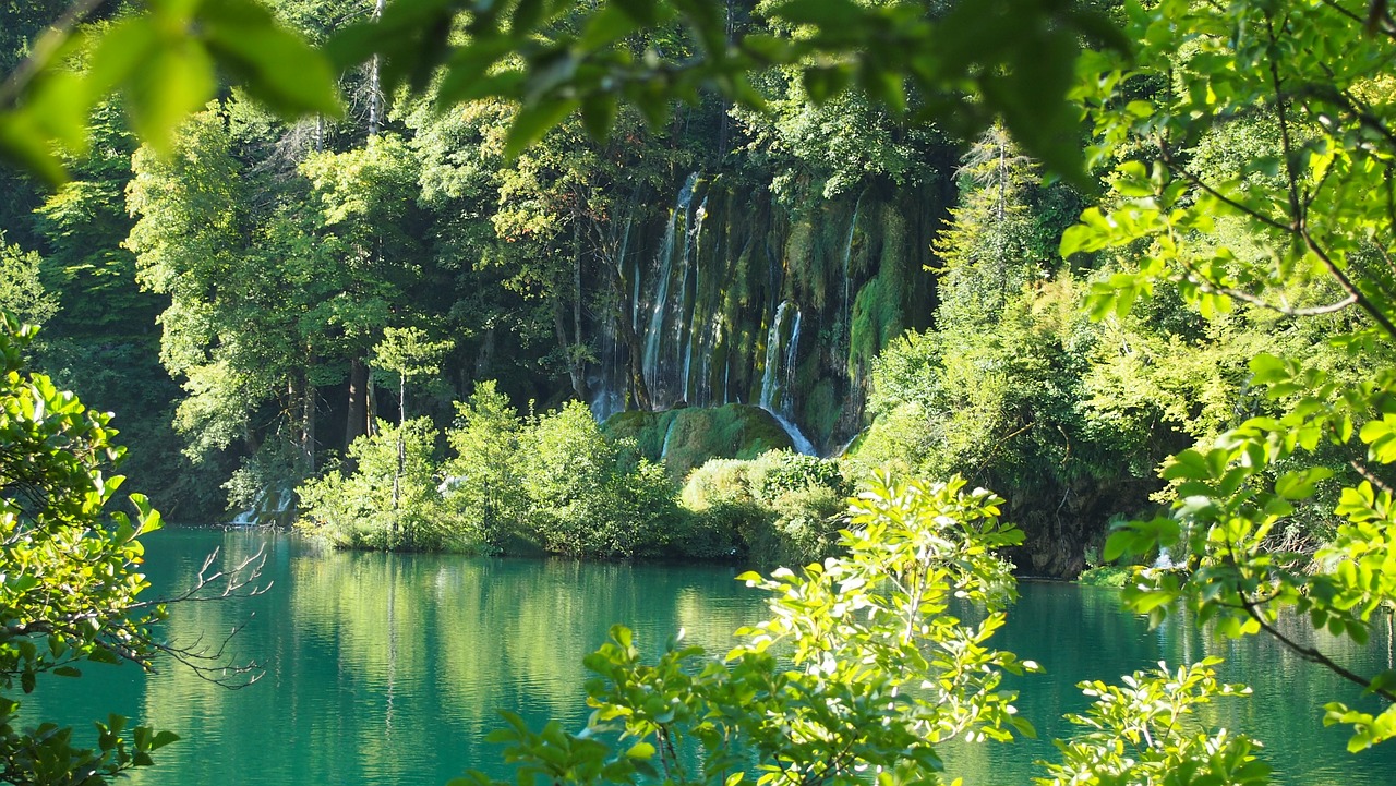 Kroatija, Plitvice Ežerai, Vanduo, Krioklys, Medis, Nacionalinis Parkas, Žygis, Kraštovaizdis, Nemokamos Nuotraukos,  Nemokama Licenzija