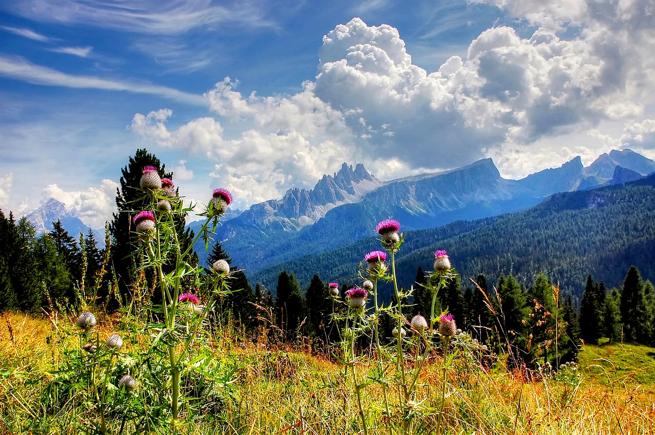 Croda Da Lago,  Tofane,  Dolomitai,  Pobūdį,  Unesco Pasaulio Paveldas,  Debesys,  Dangus,  Alpine,  Italija,  Kalnai