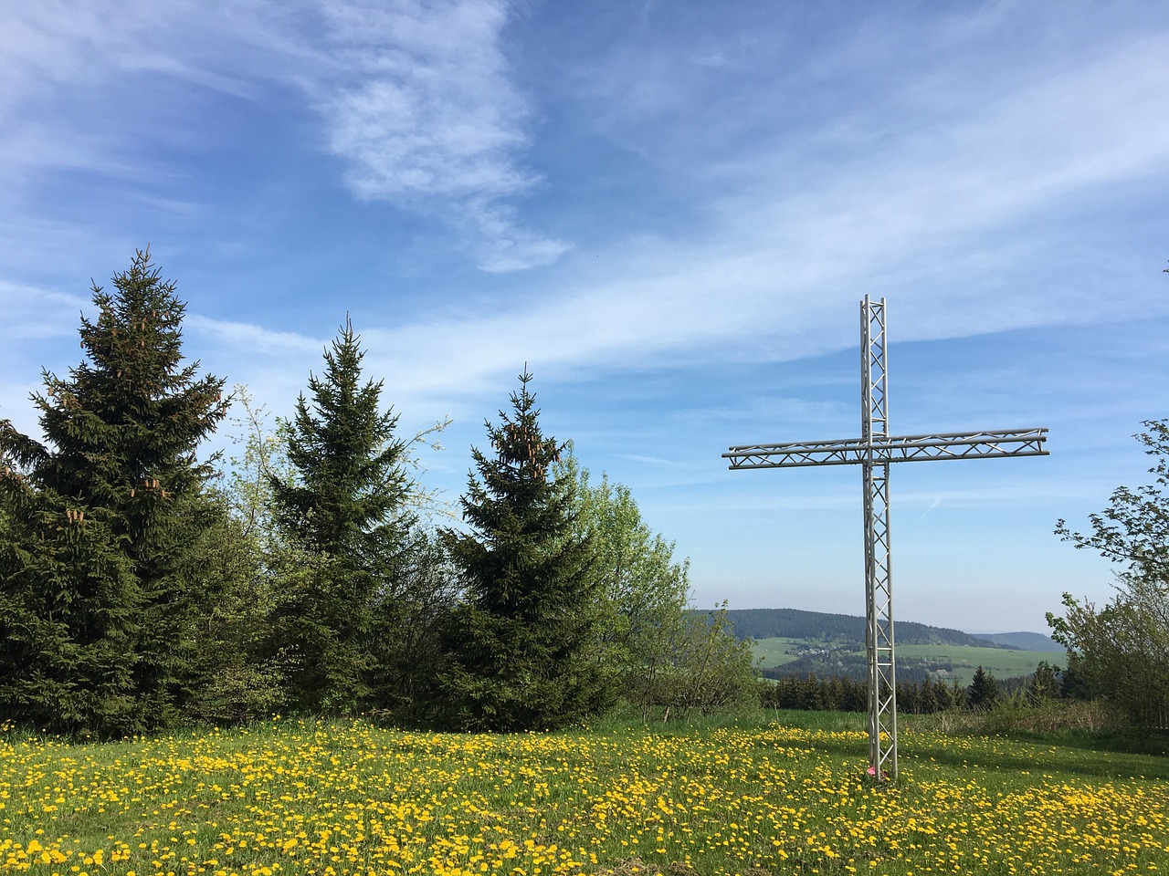 Kirsti, Miškas, Ymca, Hoheneiche, Žalias, Krikščionybė, Gėlės, Tikėk, Dangus, Nemokamos Nuotraukos