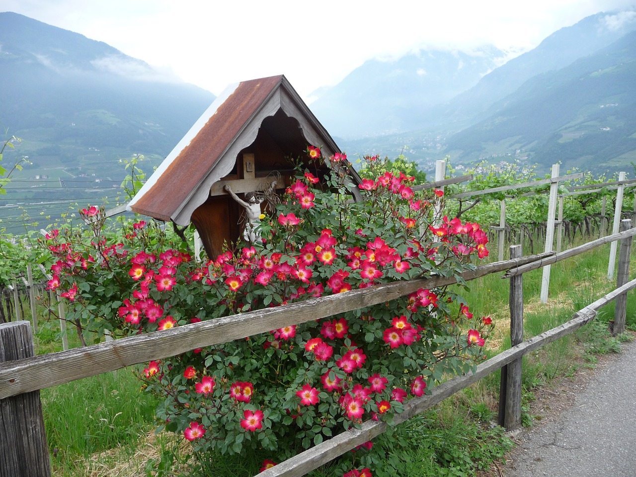 Kryžkelės, Tirolo, South Tyrol, Nemokamos Nuotraukos,  Nemokama Licenzija