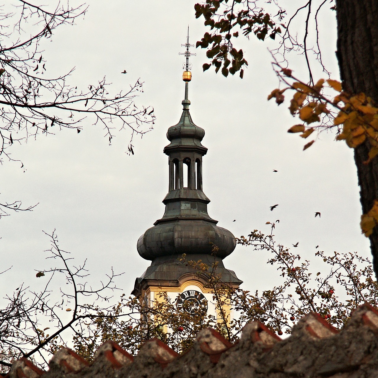 Varnos, Paukščiai, Bokštas, Bokštas, Siena, Pastatas, Bažnyčia, Borovany, Nemokamos Nuotraukos,  Nemokama Licenzija