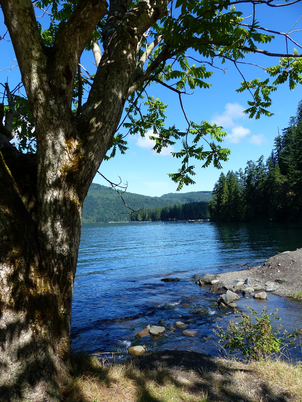 Cultus Ežeras, Vanduo, Kalnas, Kraštovaizdis, Medžiai, Akmenys, Kranto Linija, Lauke, Britų Kolumbija, Kanada