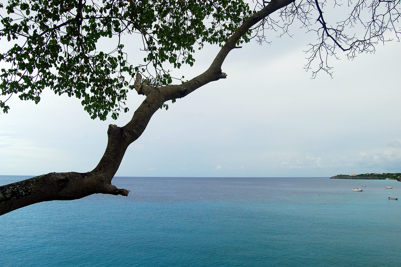 Curacao, Antilai, Sala, Atogrąžų, Karibai, Nyderlandų Antilai, Šventė, Kraštovaizdis, Medis, Vandenynas