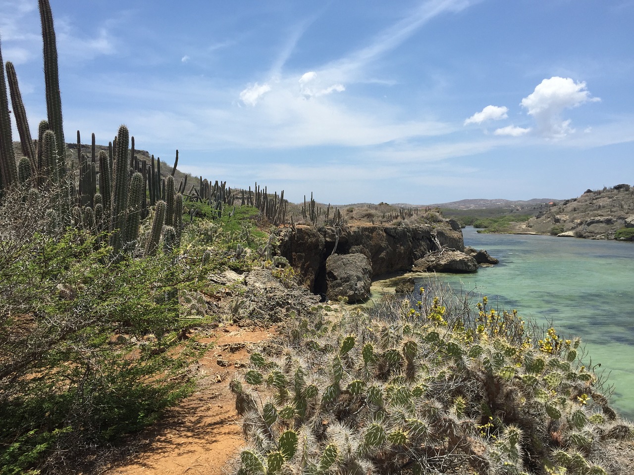 Curacao, Šiaurinė Pakrantė, Boca Ascension, Kaktusas Kraštovaizdis, Nemokamos Nuotraukos,  Nemokama Licenzija