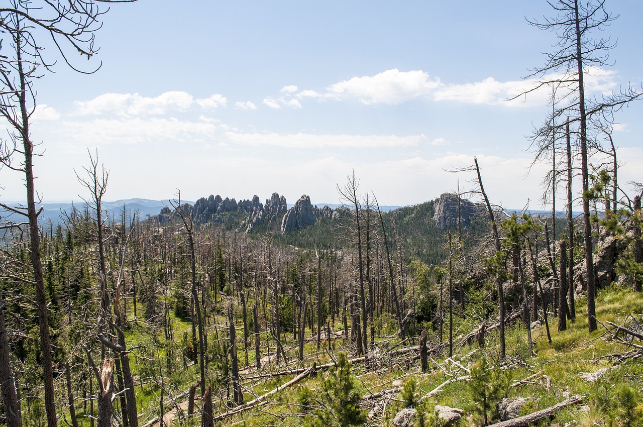 Custer Valstijos Parkas, Kraštovaizdis, Panorama, Vaizdingas, Dakota, Valstybė, Custer, Parkas, Kalnai, Erozija