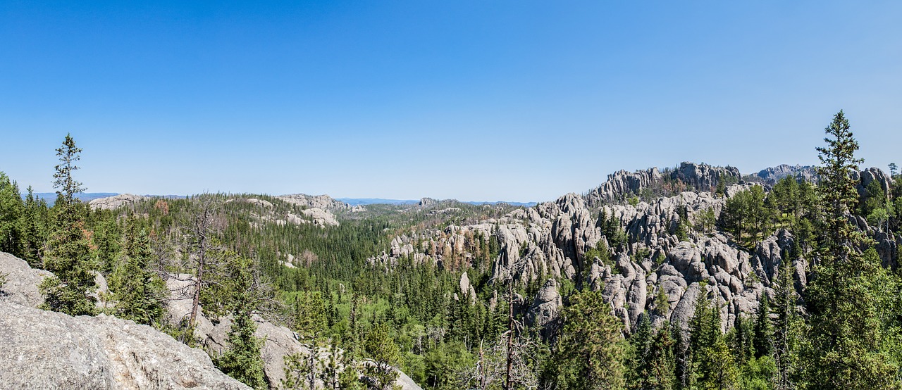 Custer Valstijos Parkas, Vajomingas, Panorama, Granitas, Laukiniai, Miškas, Dykuma, Apleistas, Žygiai, Peizažas