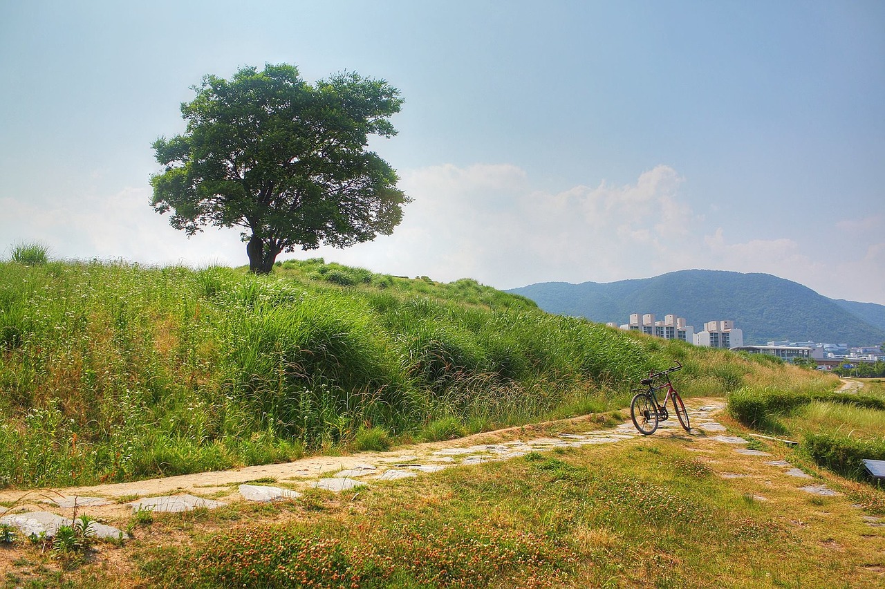 Mielas, Ištraukos, Gamta, Nemokamos Nuotraukos,  Nemokama Licenzija