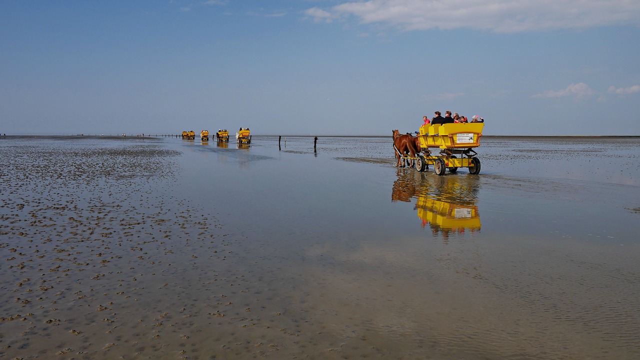 Cuxhaven, Wadden Jūra, Atsipalaiduoti, Išdrįsti, Turistai, Arkliai, Papludimys, Nemokamos Nuotraukos,  Nemokama Licenzija