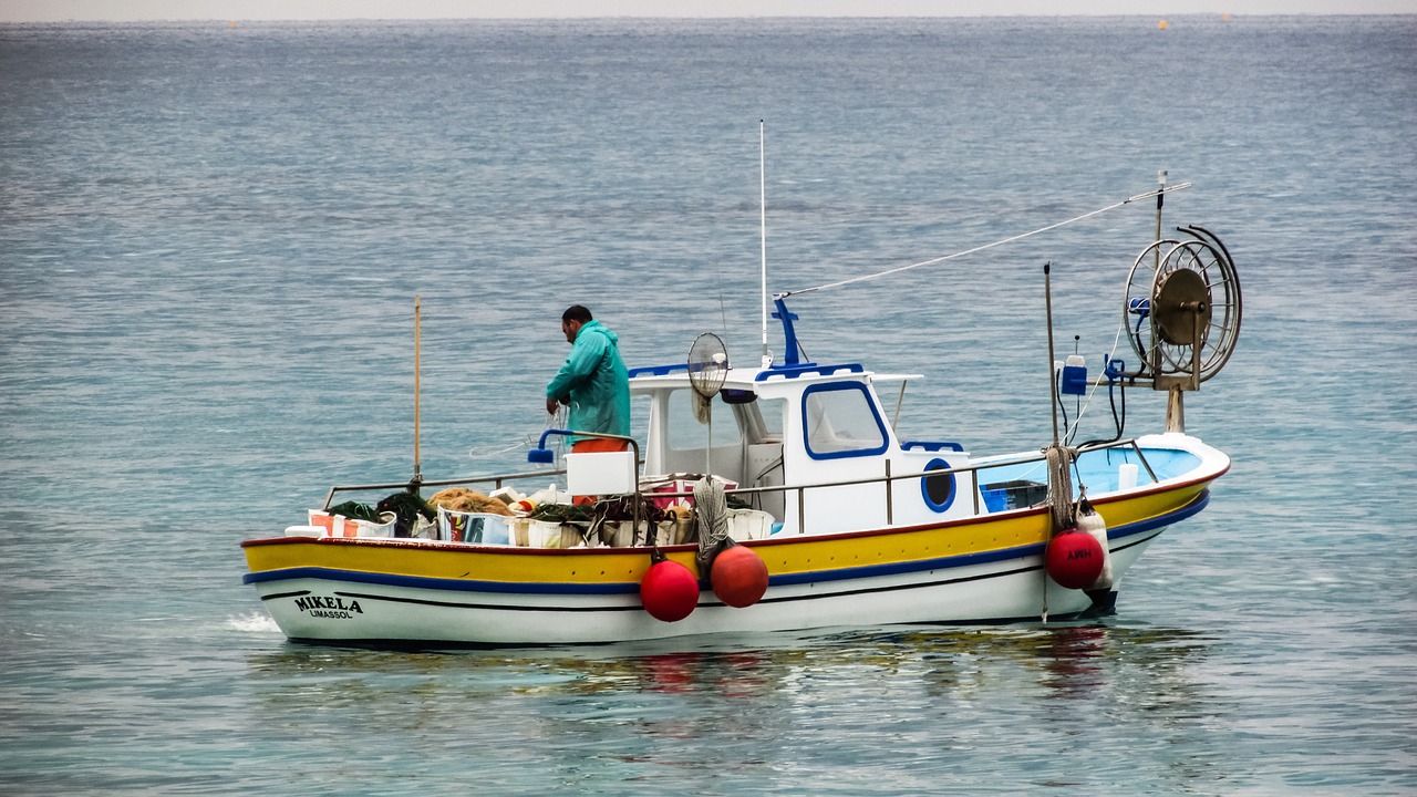 Kipras, Valtis, Žvejyba, Nemokamos Nuotraukos,  Nemokama Licenzija