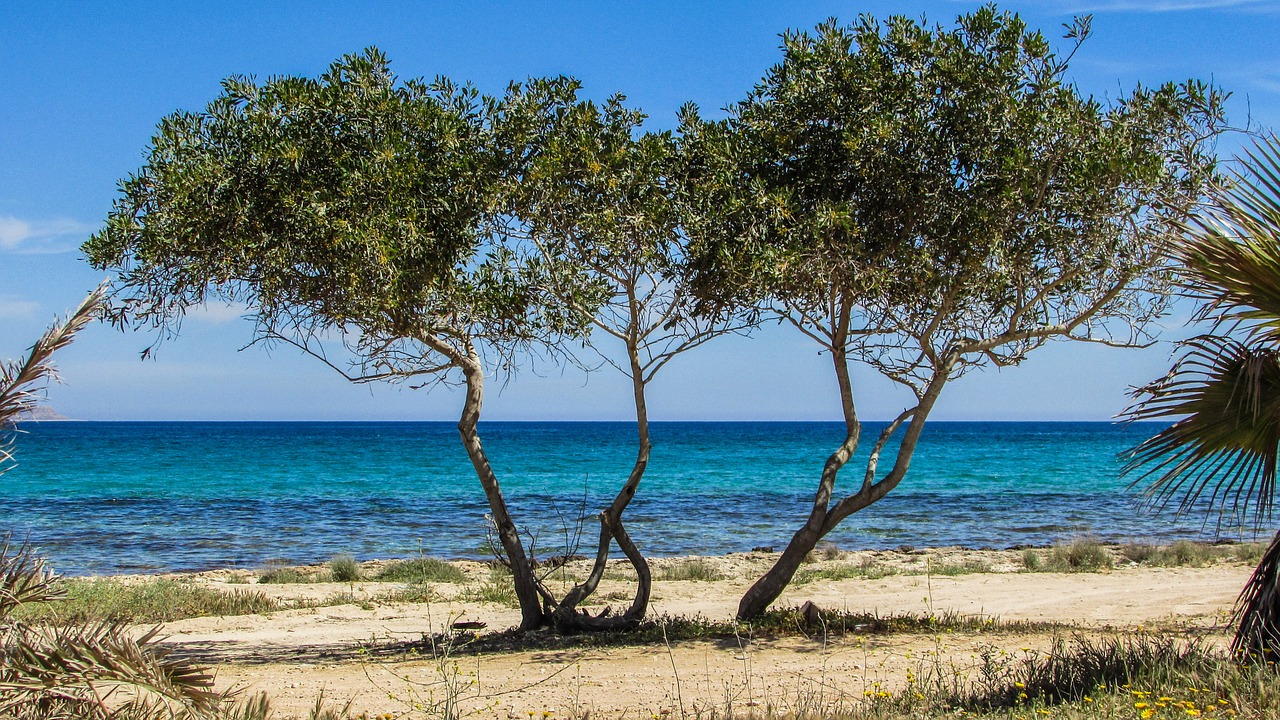 Kipras, Potamos Liopetri, Medis, Papludimys, Jūra, Kraštovaizdis, Nemokamos Nuotraukos,  Nemokama Licenzija