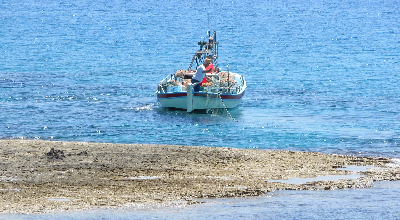 Kipras, Žvejybos Laivas, Jūra, Viduržemio Jūros, Žvejyba, Nemokamos Nuotraukos,  Nemokama Licenzija