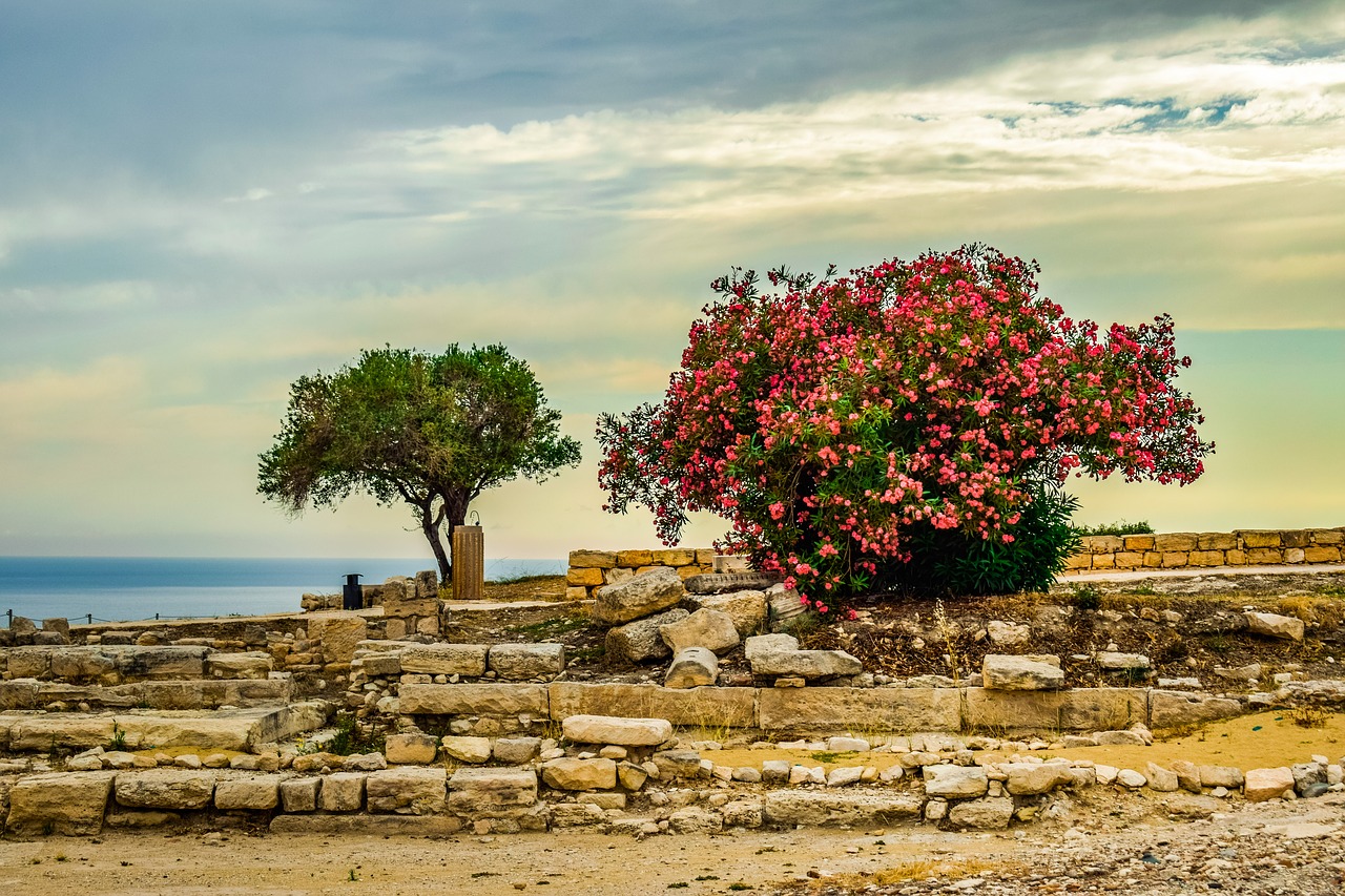 Kipras,  Kourion,  Kraštovaizdis,  Medžiai,  Dangus,  Debesys,  Horizontas,  Senovės,  Svetainės,  Viduržemio Jūros