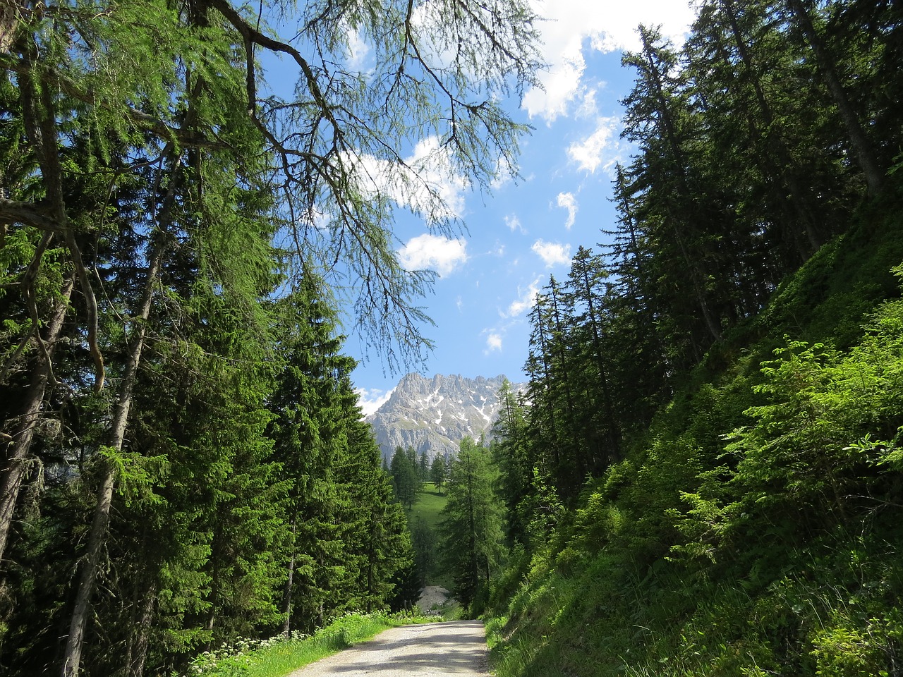 Dachsteinas, Austria, Miškas, Gamta, Kalnai, Žygiai, Žalias, Nemokamos Nuotraukos,  Nemokama Licenzija