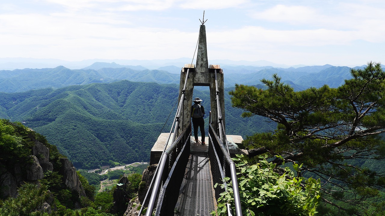 Daedunsan,  Vandžu Apskritis,  Jeollabuk Padaryti,  Daedunsan Funikulierių,  Šis Tipas,  Kalnų,  Korėja,  Tau Pasisekė,  Augalai,  Lapų