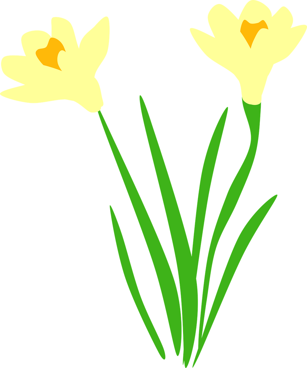 Daffodil, Narcizai, Flora, Gėlė, Gėlės, Nemokama Vektorinė Grafika, Nemokamos Nuotraukos,  Nemokama Licenzija