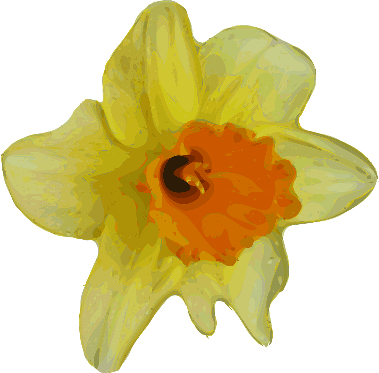 Daffodil, Narcizas, Gėlė, Augalas, Gamta, Geltona, Sezonas, Pavasaris, Nemokama Vektorinė Grafika, Nemokamos Nuotraukos