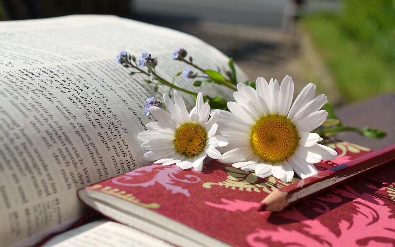 Rozės, Knyga, Skaityti, Rašymo Medžiagos, Pastabos, Biblija, Knygos Puslapis, Atsipalaiduoti, Dievo Žodis, Poilsis