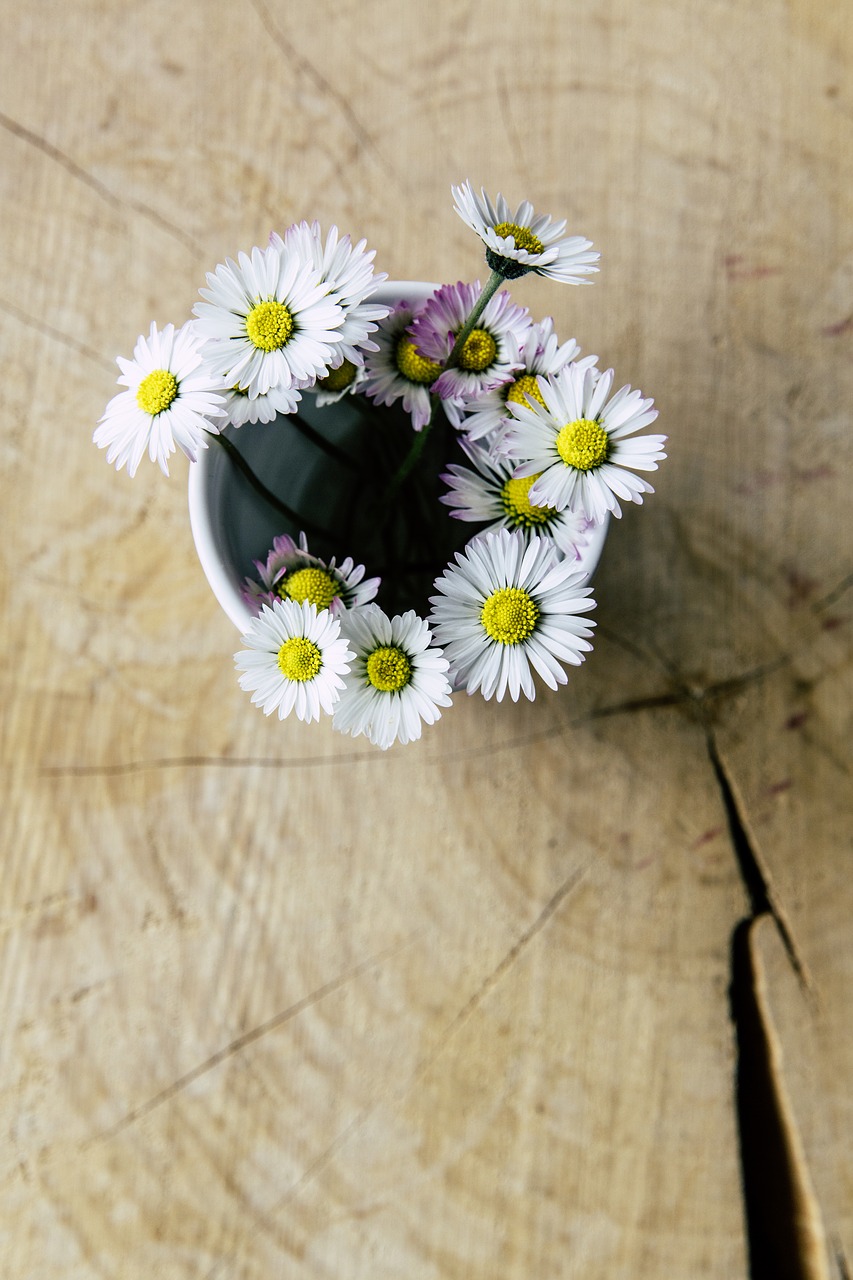 Daisy, Vazos, Uždaryti, Gėlės, Deko, Laukinės Vasaros Spalvos, Stalas, Puokštė, Žąsų Gėlė, Mediena