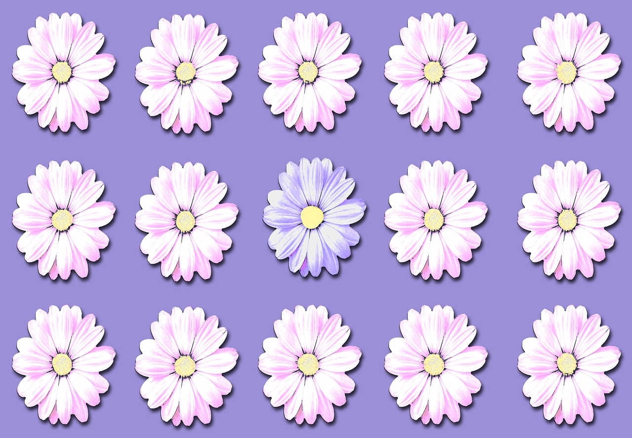Daisy, Gėlės, Laukinės Gėlės, Žydėti, Augalas, Gamta, Gėlė, Mažas Augalas, Aštraus Gėlė, Vasara