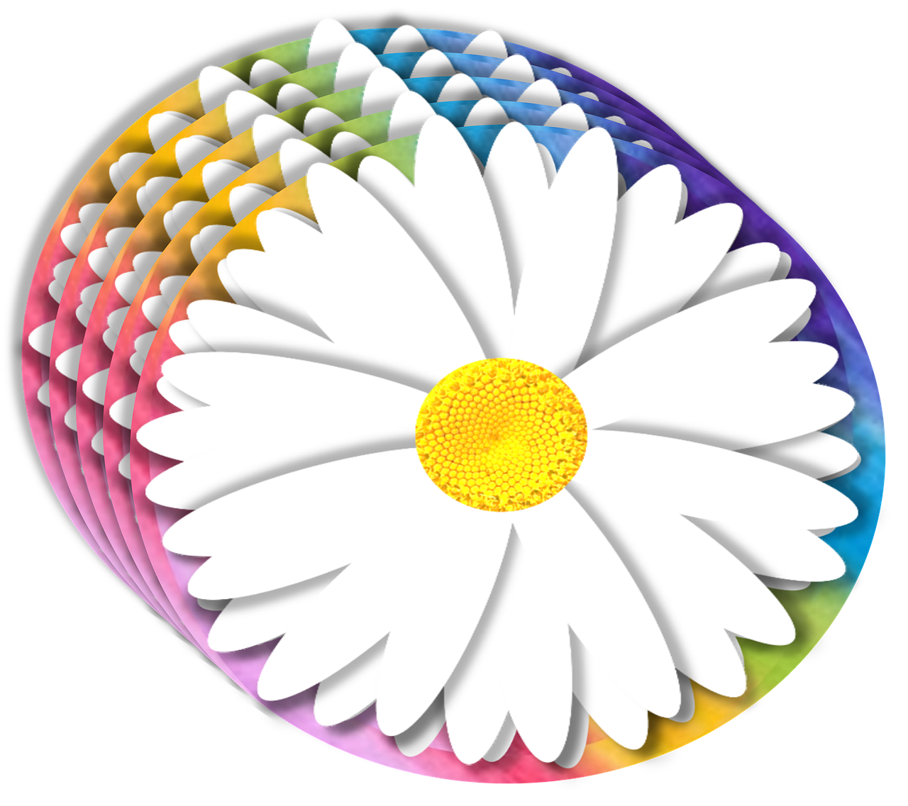 Daisy, 3D, Elementas, Vaivorykštė, Fonas, Žiedlapiai, Gėlių, Padengti, Balta, Geltona