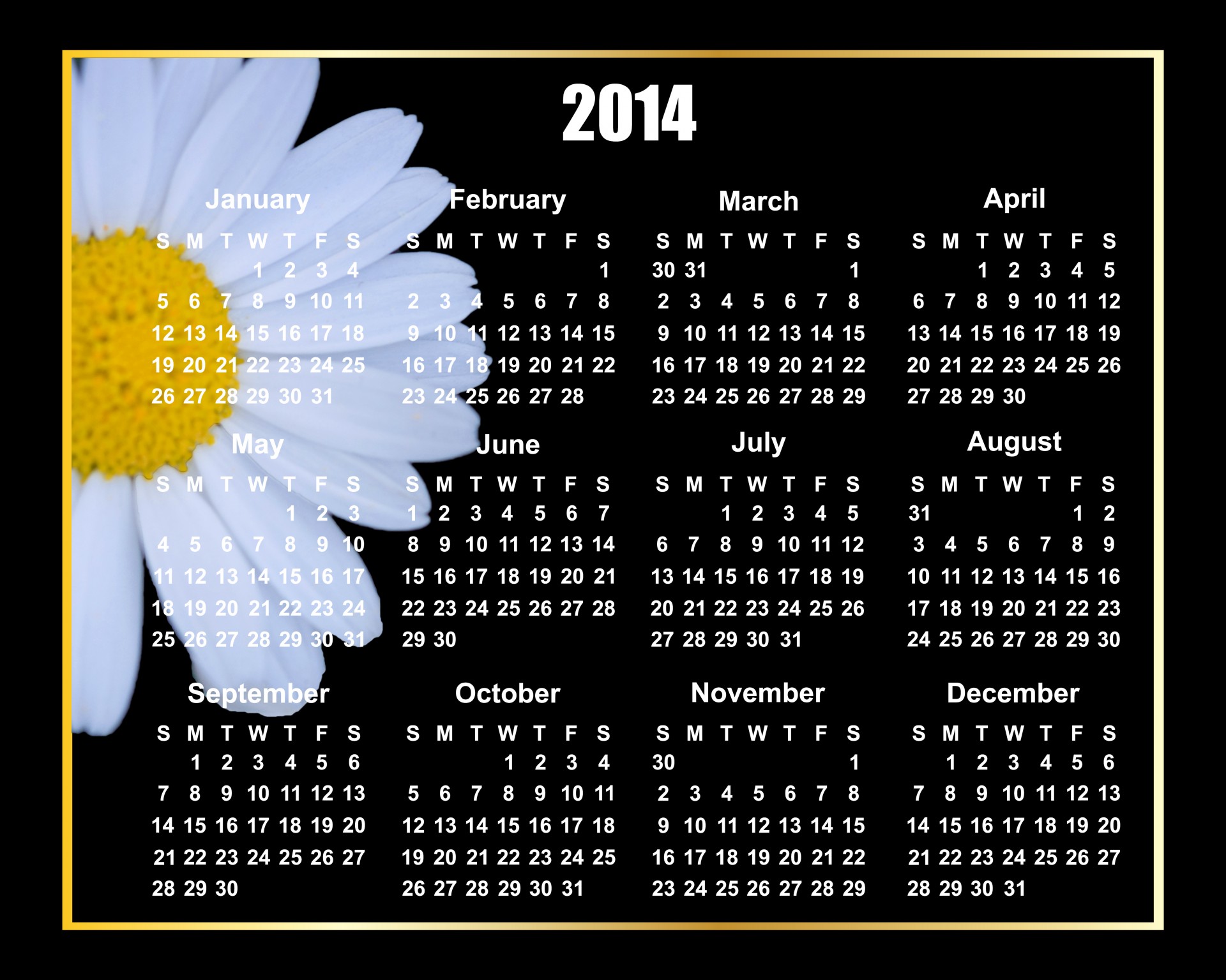 Gėlė,  2014 & Nbsp,  Kalendorius,  Daisy,  2014,  Kalendorius,  Gražus,  Balta,  Juoda,  Fonas