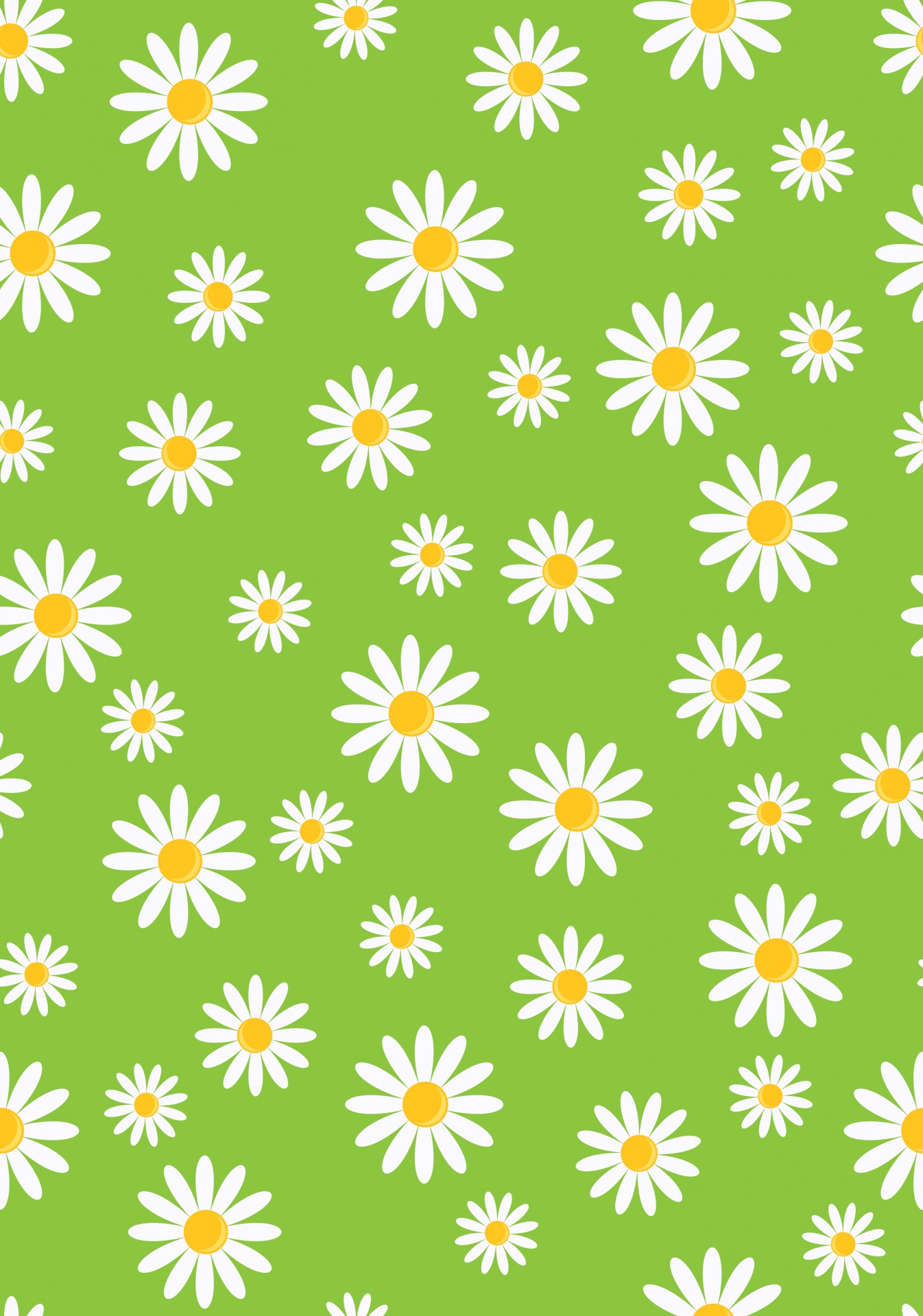 Daisy,  Rozės,  Daisys,  Gėlių,  Gėlės,  Gėlė,  Tapetai,  Popierius,  Fonas,  Modelis