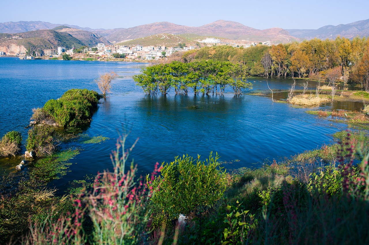 Dali, Erhai Ežeras, Medžiai, Peržiūros, Kelionė, Mėlyna Lagūna, Nemokamos Nuotraukos,  Nemokama Licenzija