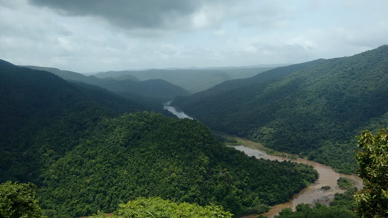 Dandeli, Kalis, Upė, Karnataka, Indija, Žaluma, Miškas, Vakarų, Ghats, Nemokamos Nuotraukos