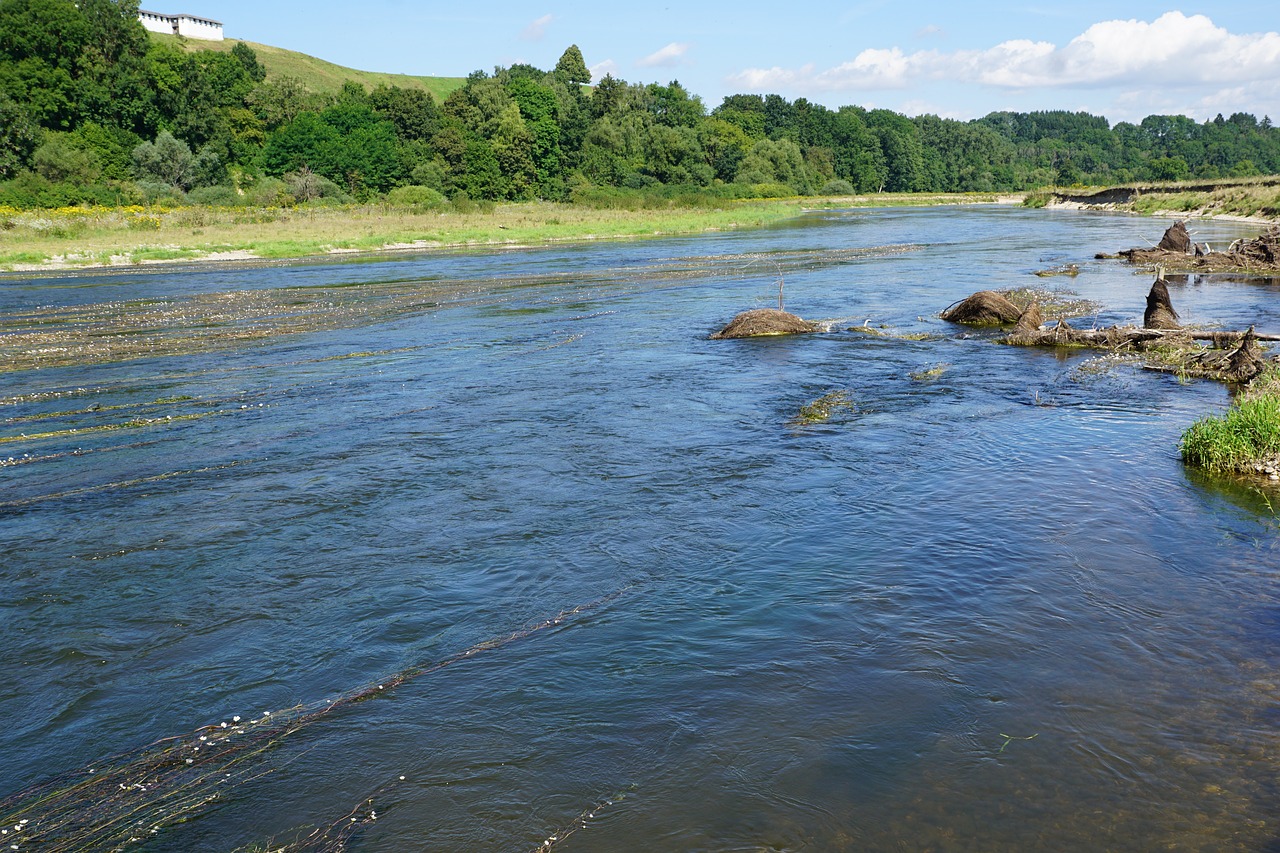 Danube, Upė, Vanduo, Gamta, Vokietija, Nemokamos Nuotraukos,  Nemokama Licenzija