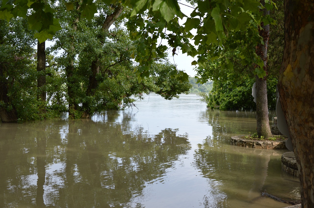 Danube, Mediena, Šešėlis, Nemokamos Nuotraukos,  Nemokama Licenzija