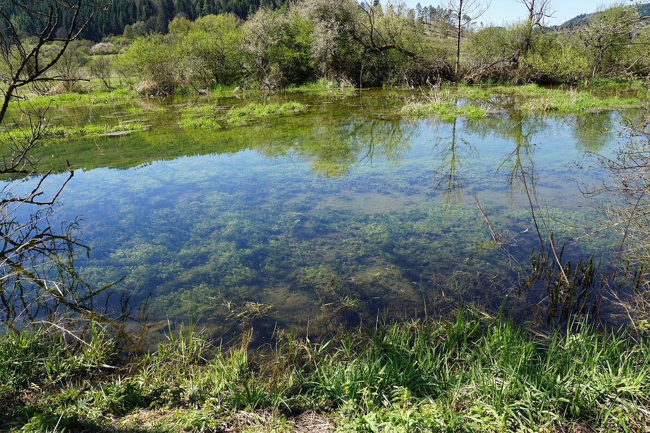 Danube, Upė, Vokietija, Gamta, Kraštovaizdis, Vanduo, Bavarija, Tuttlingen, Fridingen, Nemokamos Nuotraukos