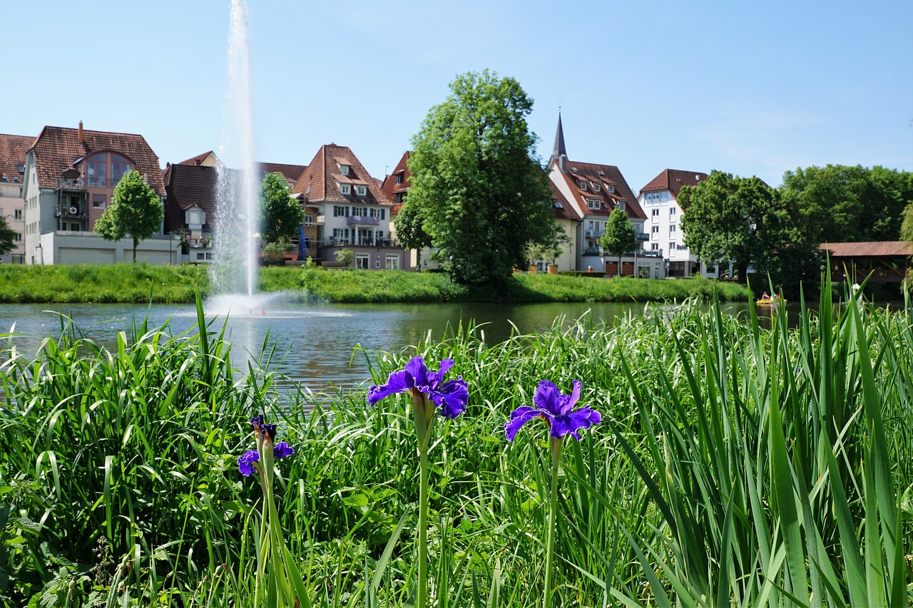 Danube, Tuttlingen, Žalias, Upė, Vokietija, Vanduo, Gamta, Tylus, Kraštovaizdis, Atsigavimas