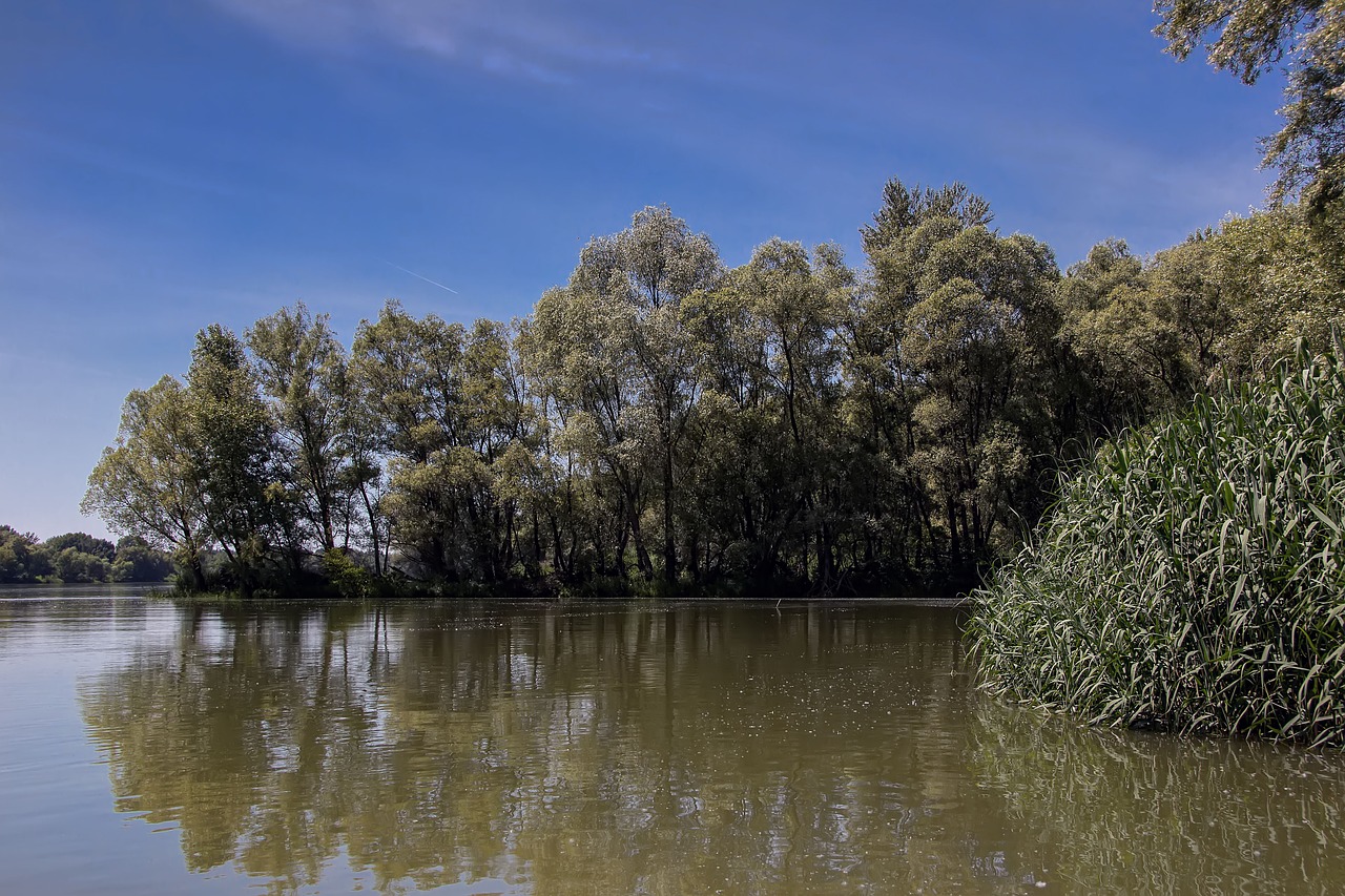 Danube, Slovakija, Gamta, Upė, Bratislava, Medžiai, Nemokamos Nuotraukos,  Nemokama Licenzija