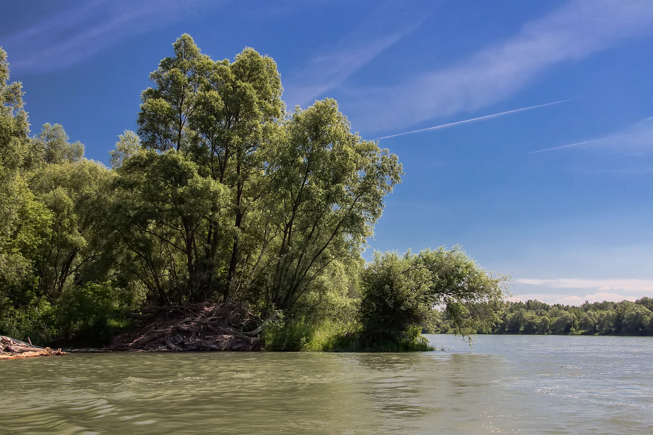 Danube, Slovakija, Gamta, Upė, Bratislava, Medžiai, Nemokamos Nuotraukos,  Nemokama Licenzija
