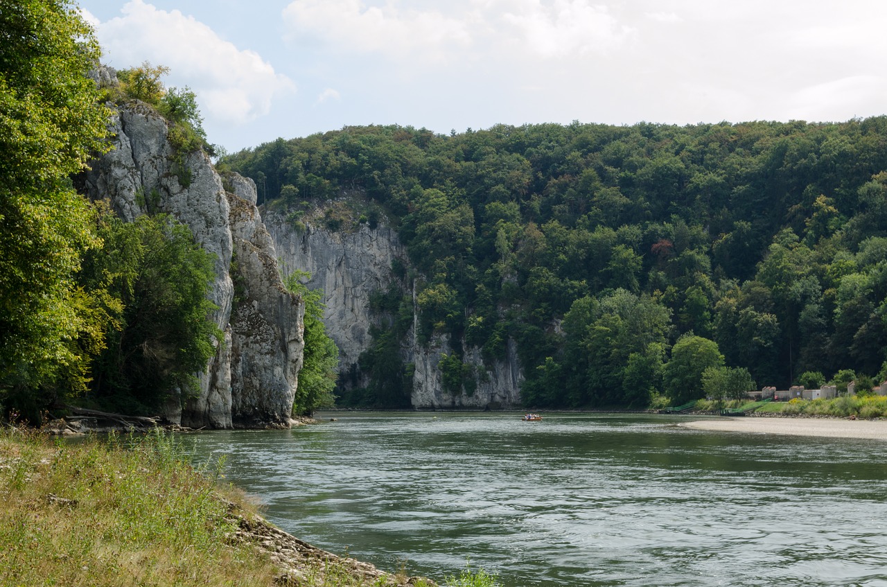 Dunojaus,  Dunojus Prisiryti,  Rokas,  Medžiai,  Vandens,  Upė,  Vandenys,  Weltenburg Abbey,  Miškas,  Bavarija