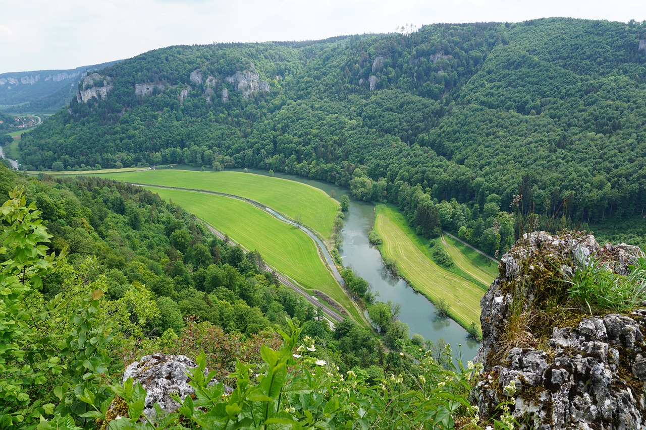 Danube, Gamta, Rokas, Kraštovaizdis, Upė, Vanduo, Tuttlingen, Fridingen, Vokietija, Nendingen