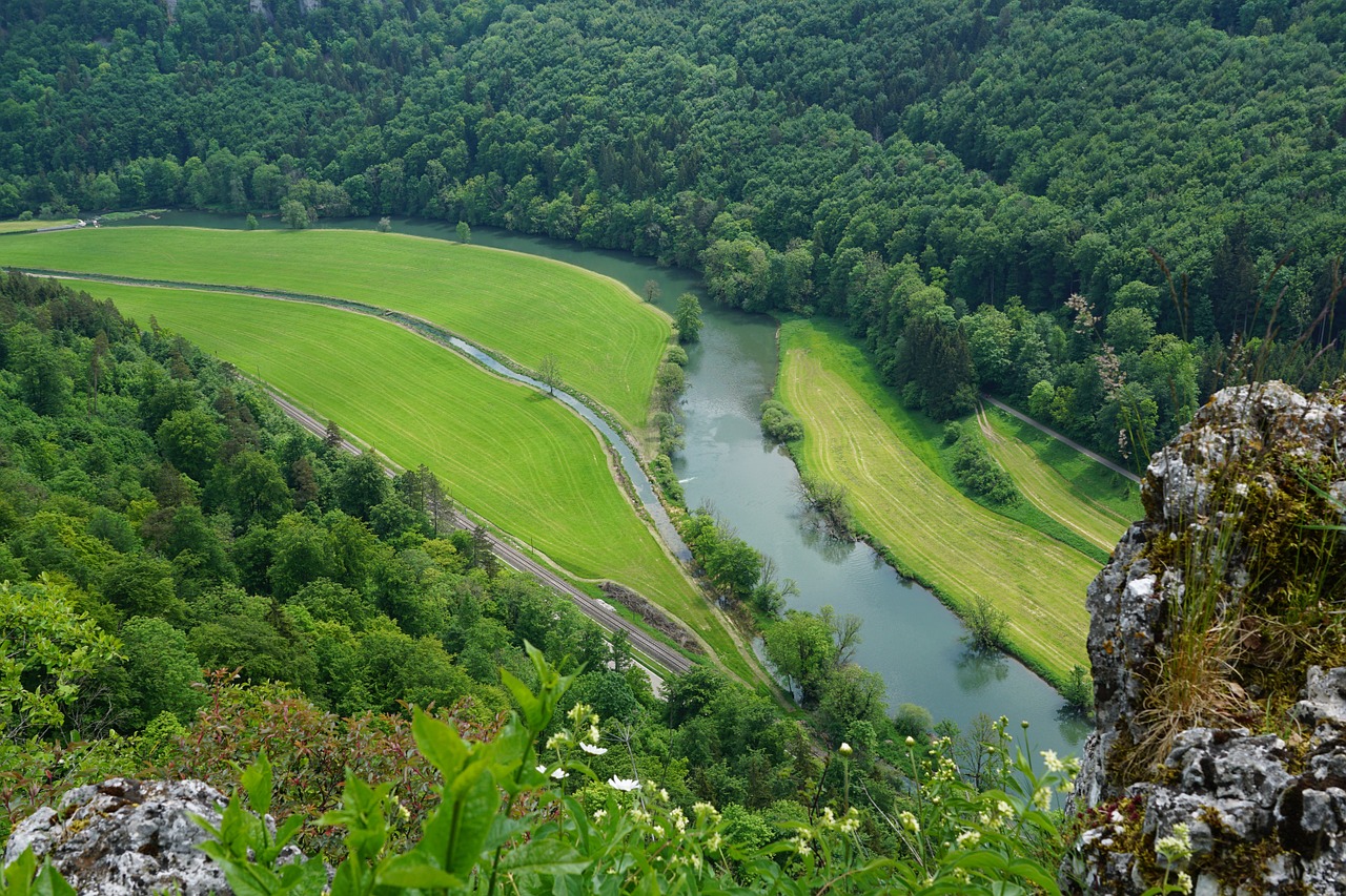 Danube, Gamta, Rokas, Kraštovaizdis, Upė, Vanduo, Vokietija, Sigmaringen, Į Pietus, Miškas