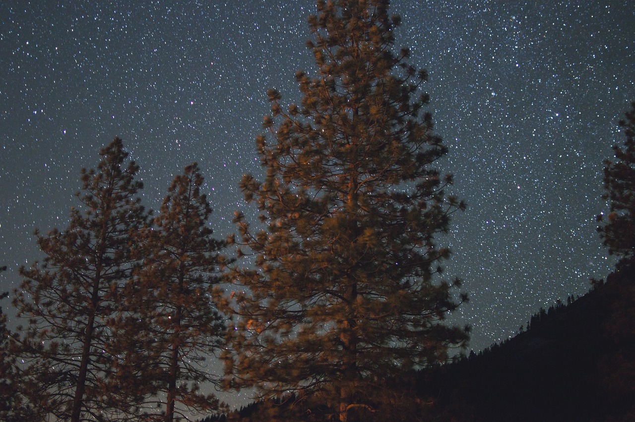 Tamsi, Naktis, Žvaigždės, Stargazing, Astrofotografija, Medžiai, Miškai, Nemokamos Nuotraukos,  Nemokama Licenzija