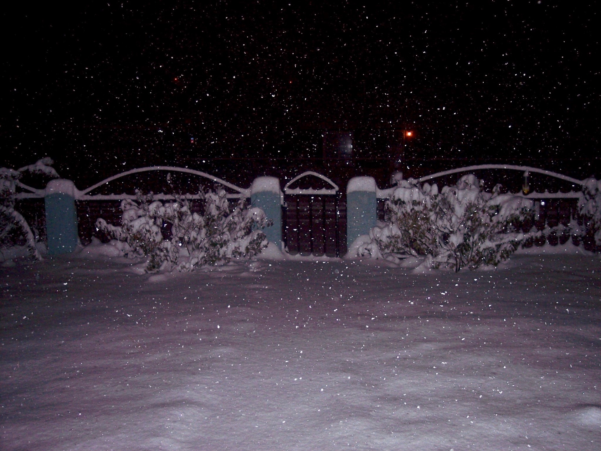 Sniegas,  Naktis,  Tamsi,  Oras,  Colorado,  Vakarų & Nbsp,  Spalvotas,  Tamsi Naktis,  Stiprus Sniegas, Nemokamos Nuotraukos