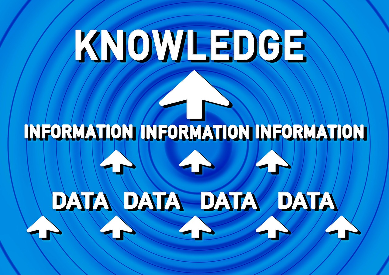 Duomenys, Informacija, Žinoti, Ratas, Mokytis, Išdėstymas, Komponentai, Koliažas, Nustatymas, Tyrimai