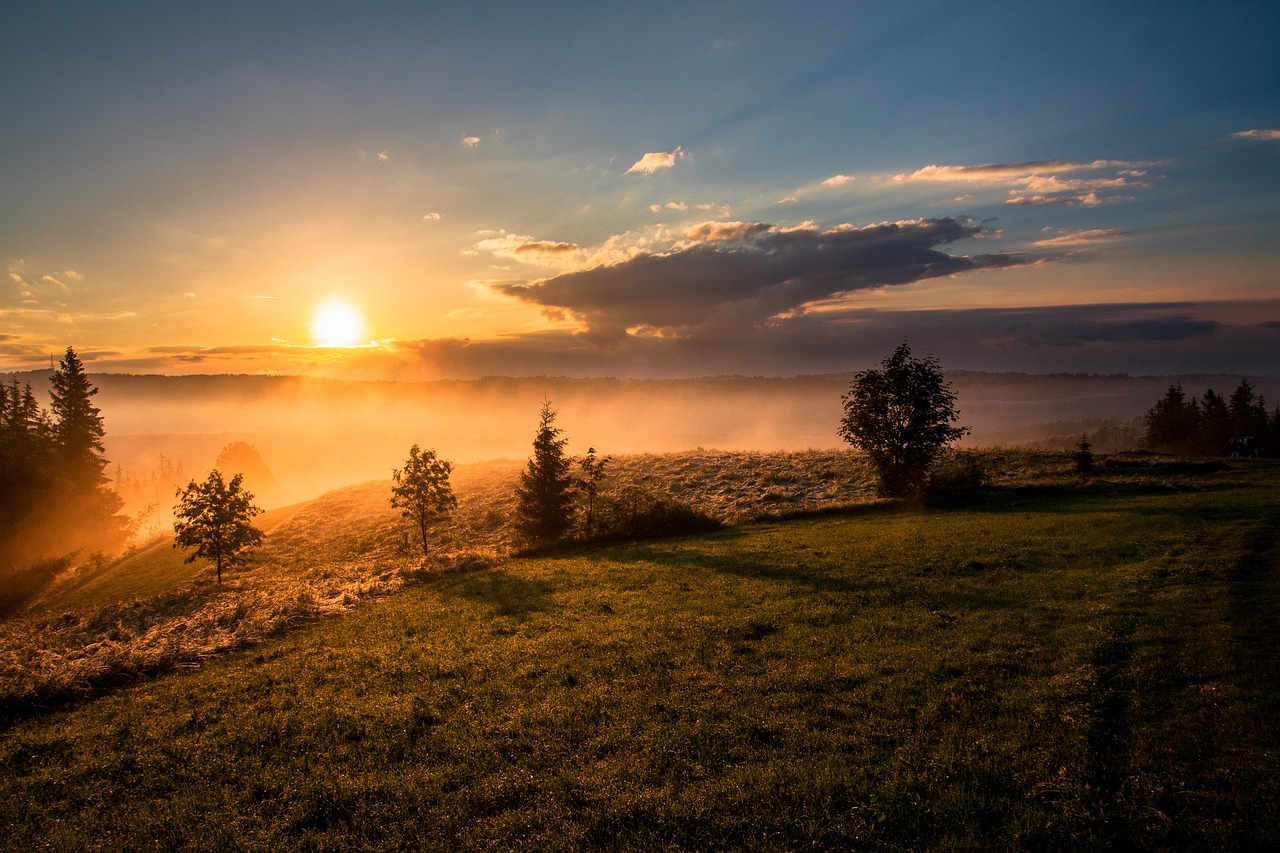 Aušra, Dusk, Rūkas, Žolė, Kraštovaizdis, Migla, Gamta, Lauke, Siluetas, Dangus