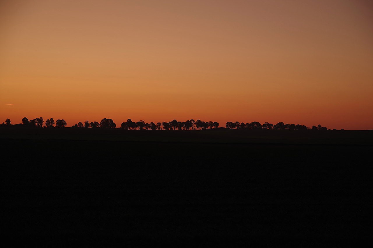 Aušra, Saulėtekis, Horizontas, Tamsi, Twilight, Medžių Linija, Dangus, Spalva, Oranžinė, Raudona