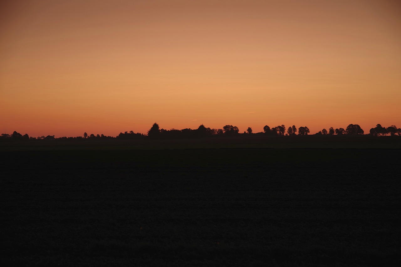 Aušra, Saulėtekis, Horizontas, Tamsi, Twilight, Medžių Linija, Dangus, Spalva, Oranžinė, Raudona