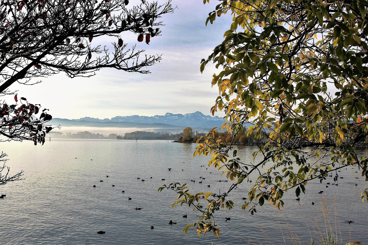 Aušra, Ramybė, Ežeras, Saulėtekis, Nuotaika, Ruduo, Papludimys, Hdr, Vandens Paukščiai, Spacer