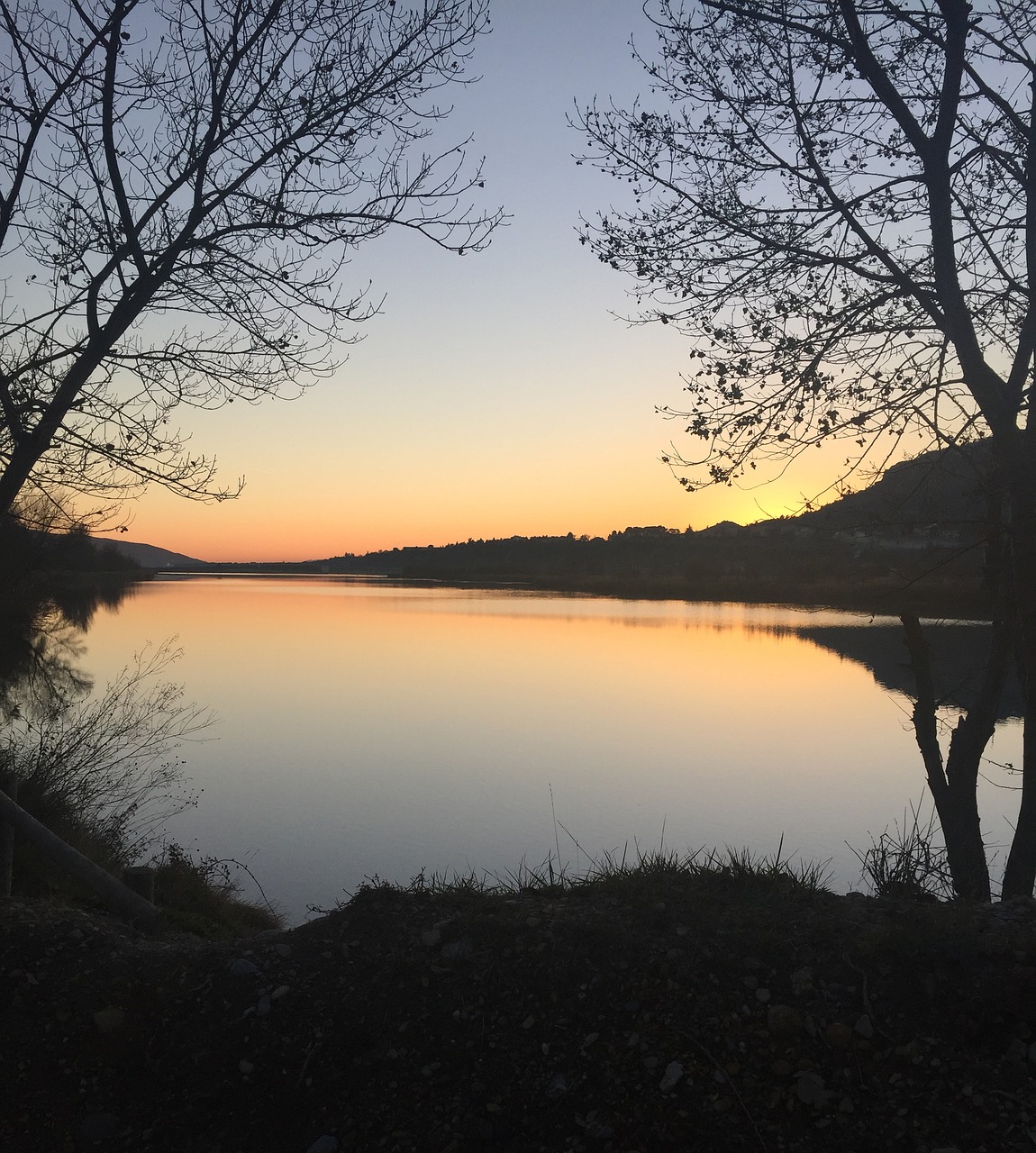 Dawn,  Saulėlydžio,  Medis,  Kraštovaizdis,  Pobūdį,  Vanduo, Nemokamos Nuotraukos,  Nemokama Licenzija