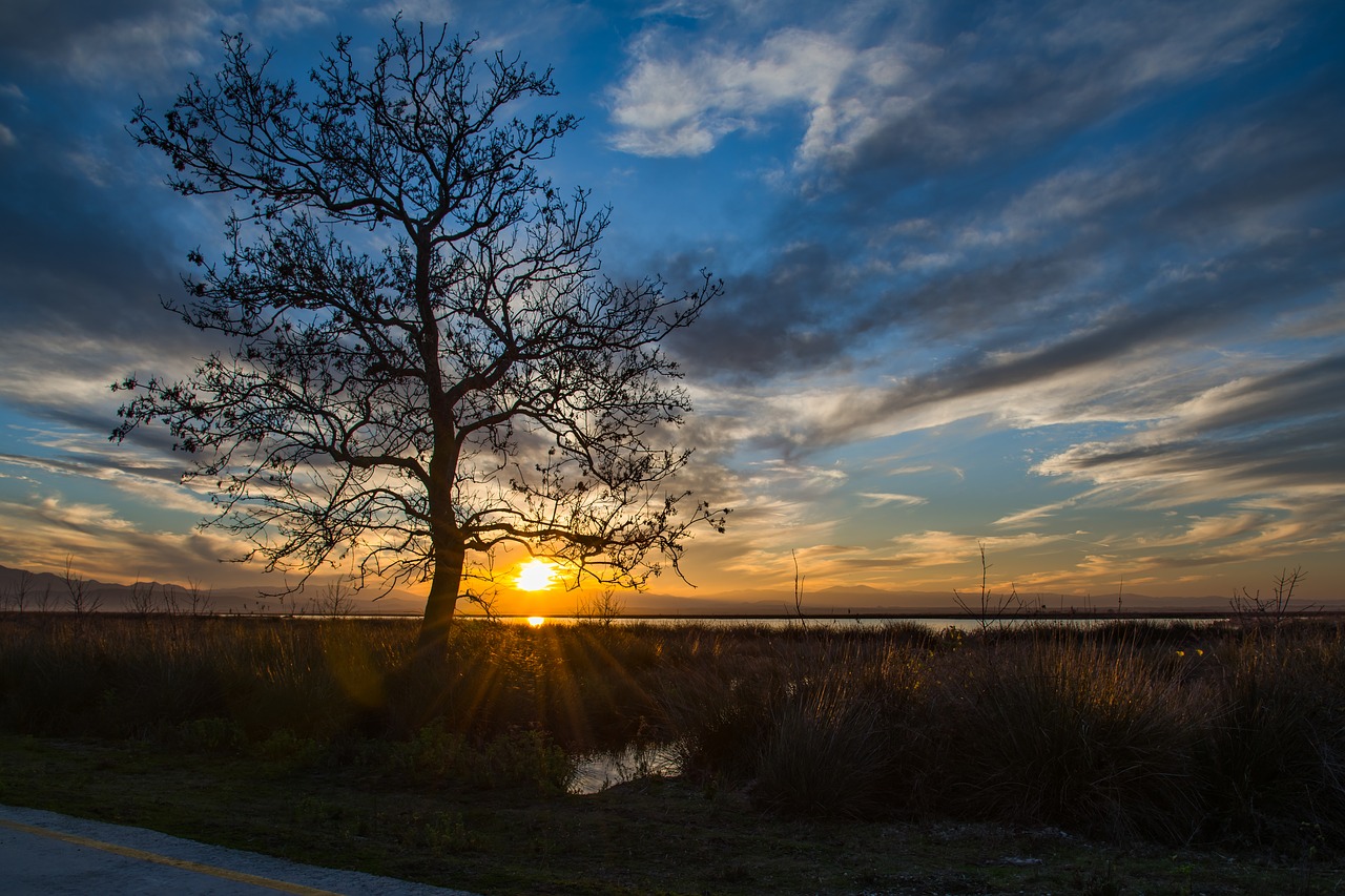 Dawn,  Saulėlydžio,  Kraštovaizdis,  Pobūdį,  Panoraminis,  Dangus,  Medis,  Ežeras,  Šviesa, Nemokamos Nuotraukos