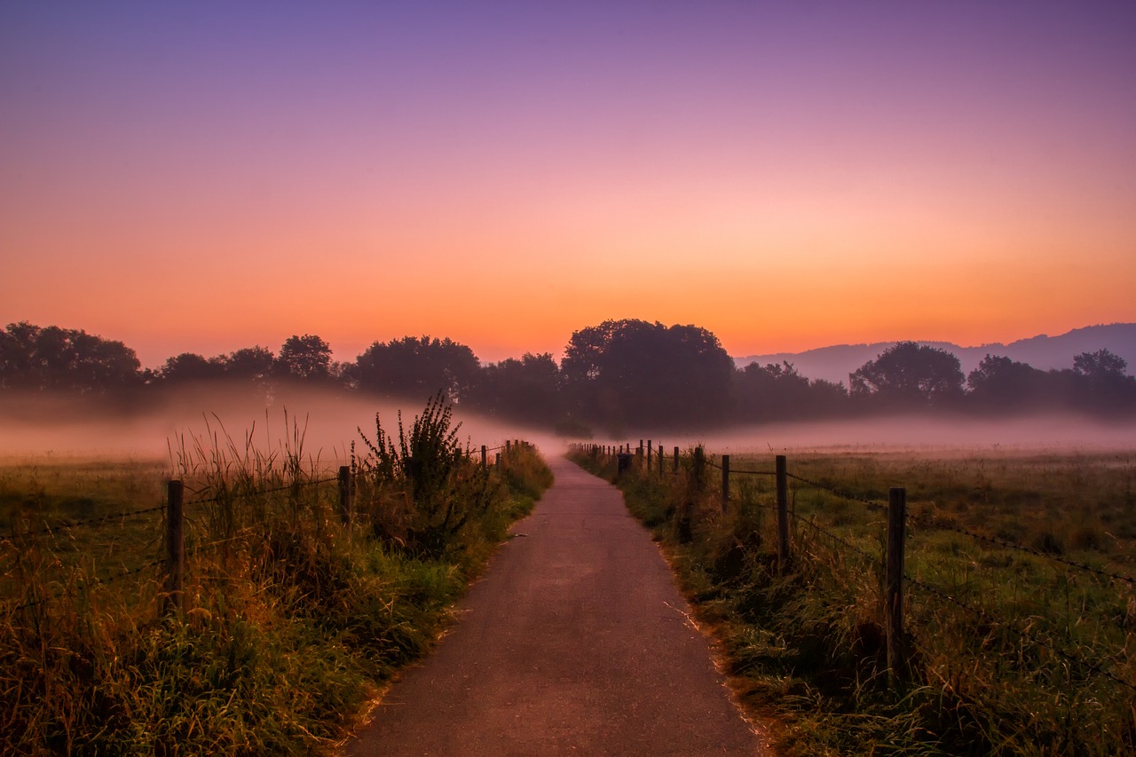 Dawn,  Migla,  Žemės Rūko,  Nebelschleier,  Laukas,  Tvora,  Toli,  Nuotaika,  Poilsio,  Pobūdį