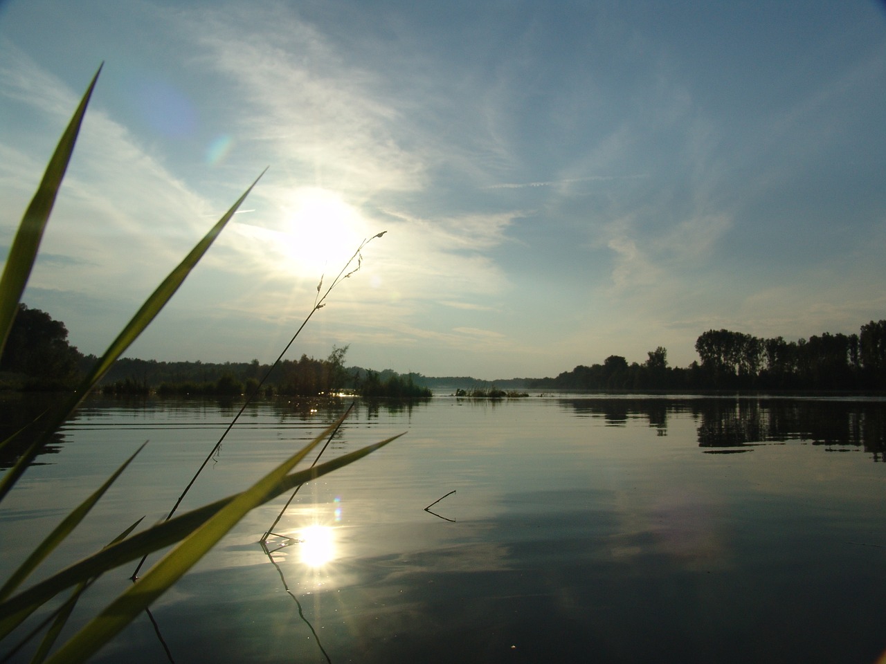 Aušra, Sala, Drava, Gamta, Žvejyba, Nemokamos Nuotraukos,  Nemokama Licenzija